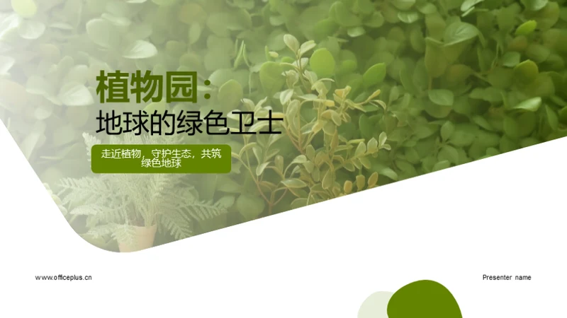 植物园：地球的绿色卫士