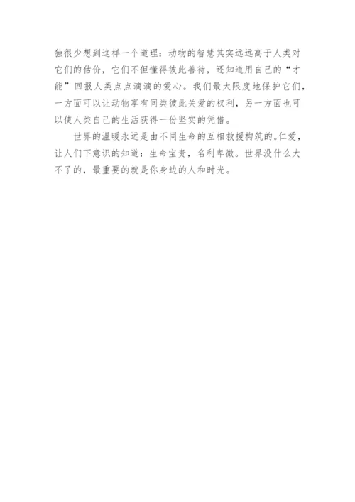 仁爱的现代价值高中议论文.docx