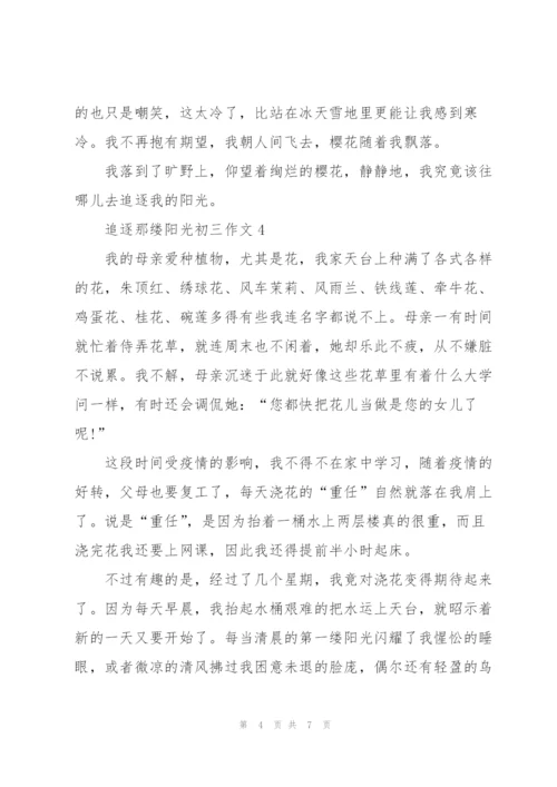 追逐那缕阳光初三作文5篇.docx
