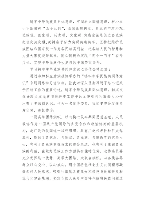 学习铸牢中华民族共同体意识心得体会（24篇）.docx