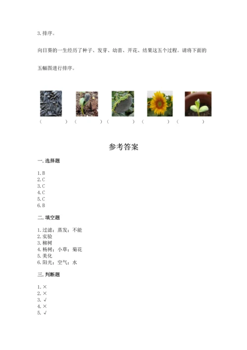 教科版科学一年级上册第一单元《植物》测试卷及答案【基础+提升】.docx