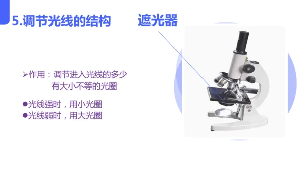 人教版（2024）七年级上册1.2.1 学习使用显微镜 课件(共29张PPT)