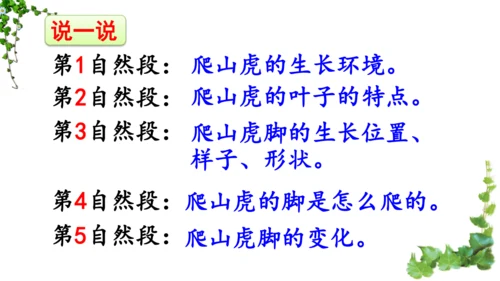 10 爬山虎的脚  课件