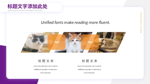 宠物小狗狗泰迪犬通用PPT模板