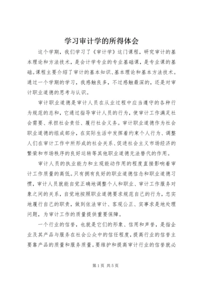 学习审计学的所得体会.docx