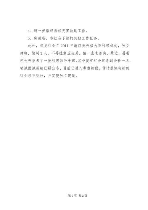 红十字会上半年主要工作及下半年工作安排.docx