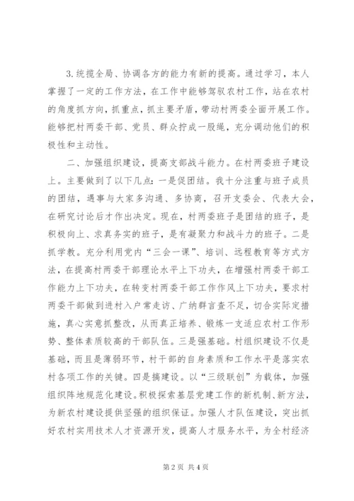 村书记年度的述职报告范文.docx