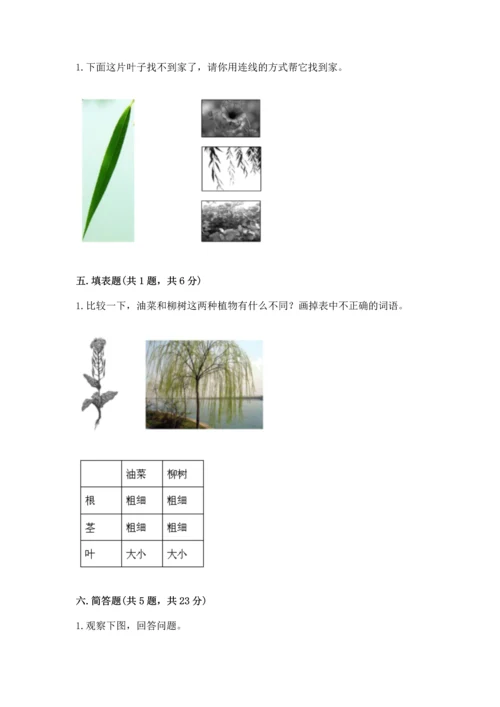 教科版小学一年级上册科学期末测试卷及参考答案（典型题）.docx