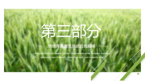 绿色农产品介绍宣传动态PPT模板