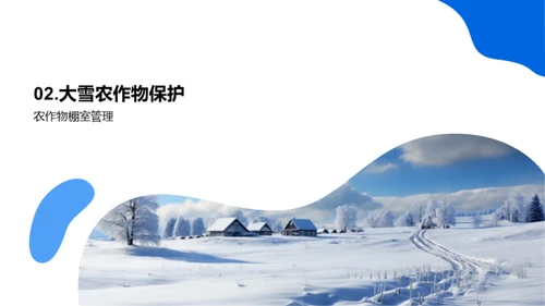 应对大雪的农业策略