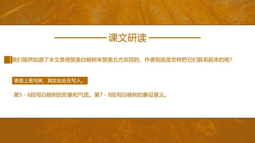 初中语文茅盾《白杨礼赞》PPT教学课件