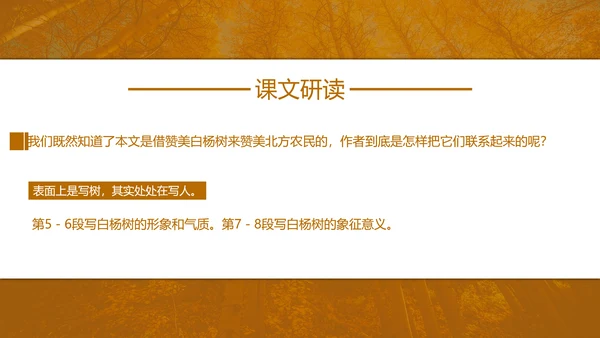 初中语文茅盾《白杨礼赞》PPT教学课件