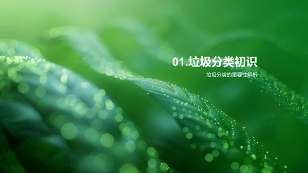 垃圾分类实践讲座