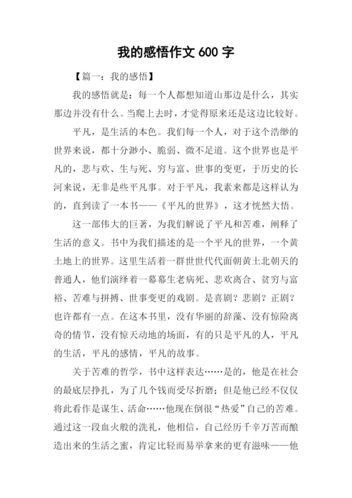 我的感悟作文600字.docx