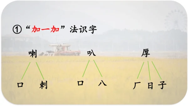 第6课 《秋天的雨》 课件