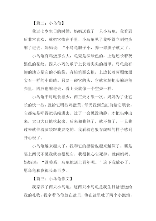 小乌龟的作文.docx