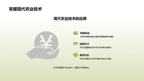 玉米高效种植新纪元