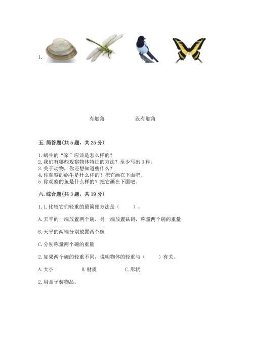 教科版一年级下册科学期末测试卷及精品答案.docx