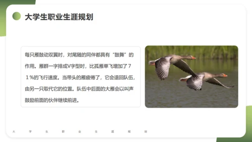 大学生职业生涯规划通用PPT课件模版