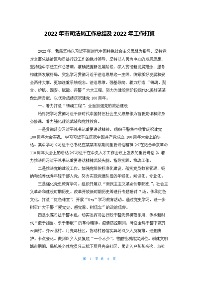 市司法局工作总结及工作打算