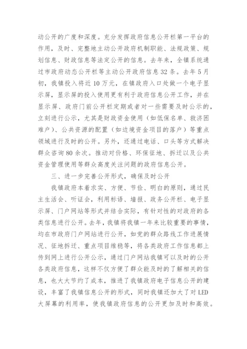 乡镇政务公开工作总结.docx