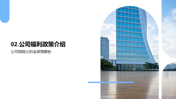 福利与保障解析