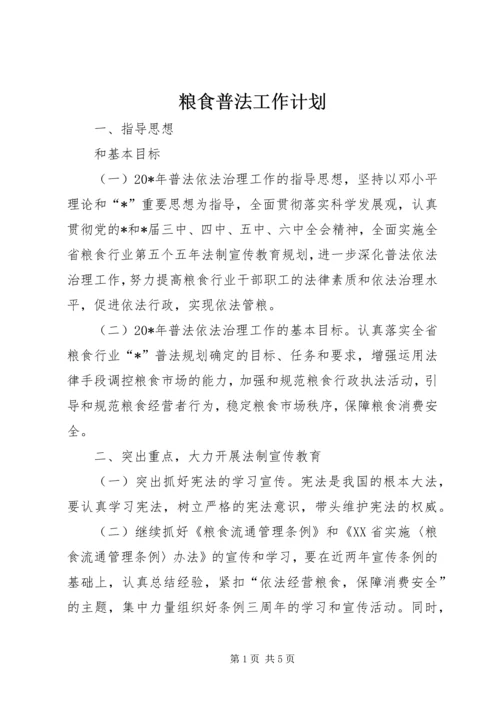 粮食普法工作计划.docx