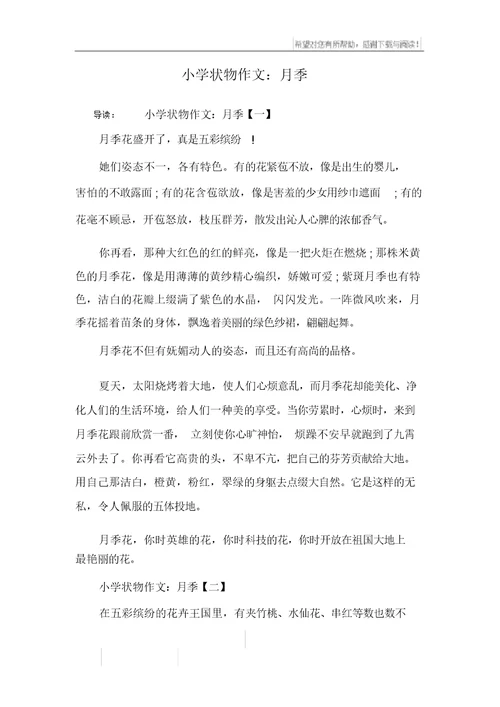 小学状物作文：月季