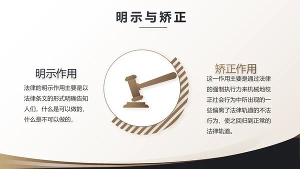 治法宪法政府法律年终工作总结汇报动态PPT