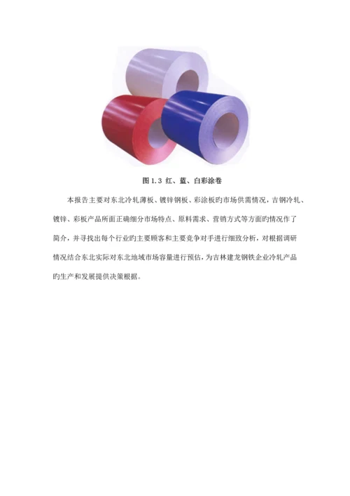 公司冷轧项目调研报告.docx