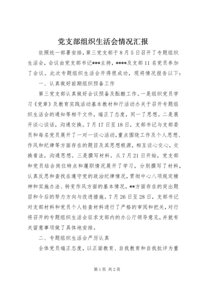 党支部组织生活会情况汇报.docx