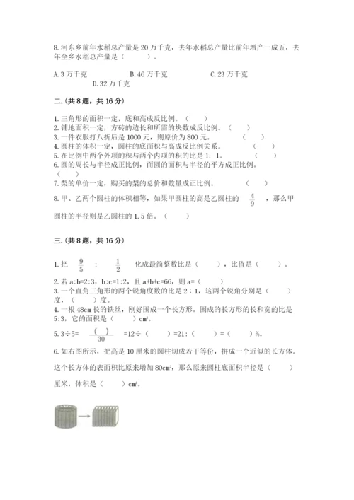 苏教版数学六年级下册试题期末模拟检测卷精品【能力提升】.docx