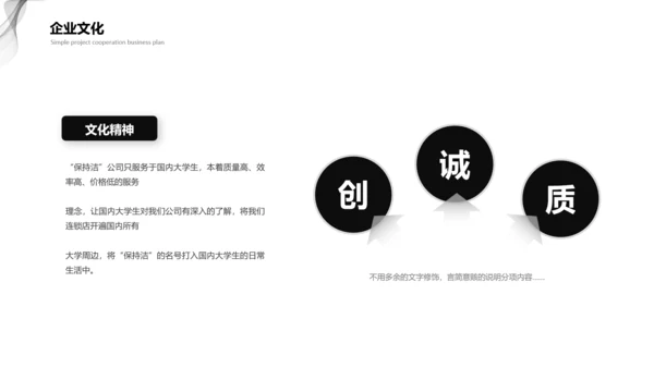 黑灰商业计划项目简介PPT模板