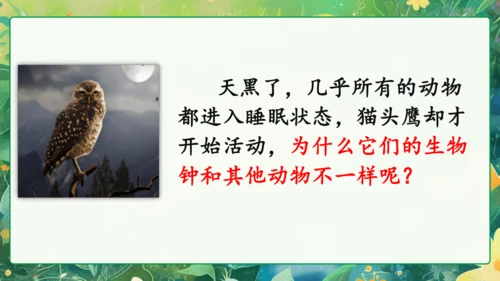 统编版语文三年级下册语文园地四 课件-