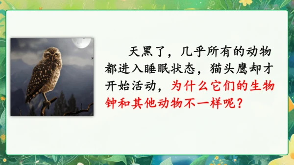 统编版语文三年级下册语文园地四 课件-
