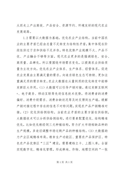 农业高质量发展与大数据建设探讨.docx