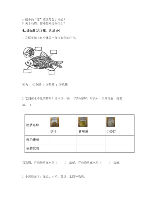 教科版一年级下册科学期末测试卷及参考答案（培优a卷）.docx