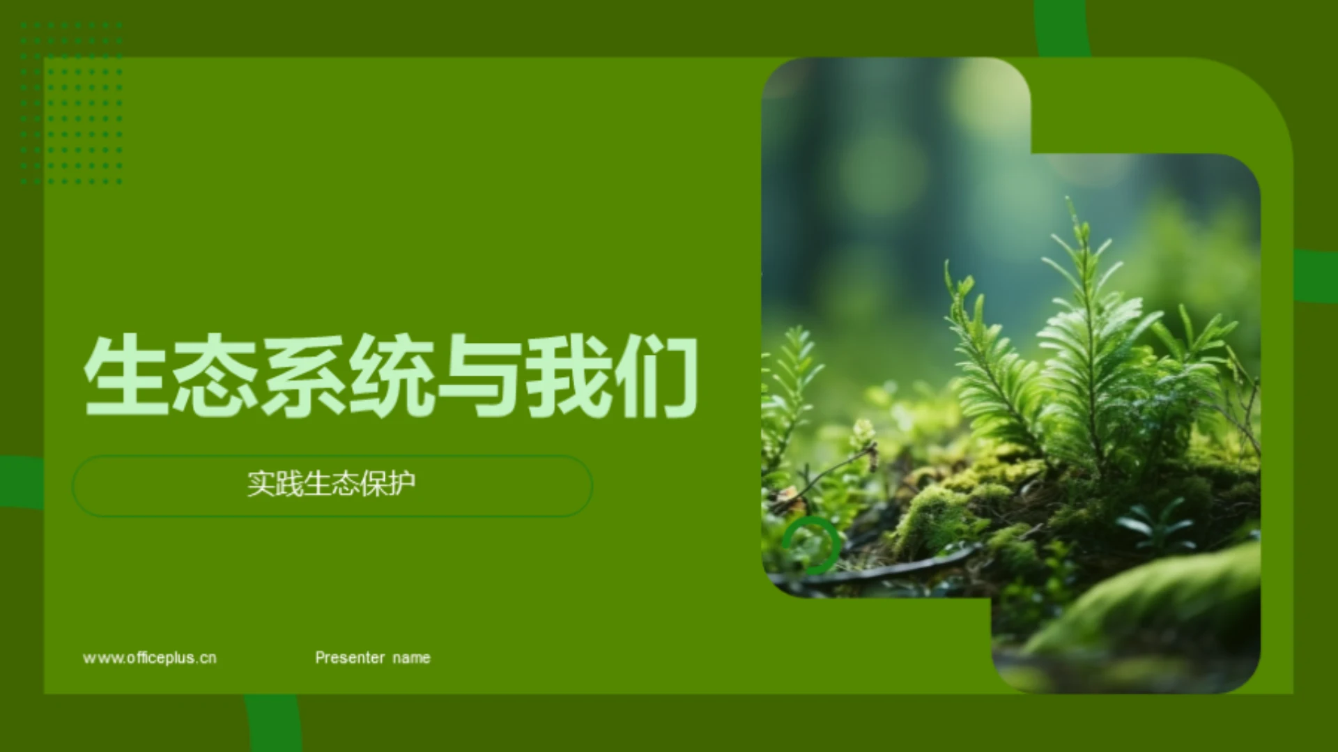 生态系统与我们