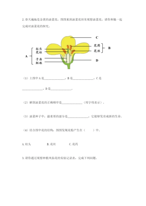 科学四年级下册第一单元《植物的生长变化》测试卷（模拟题）.docx