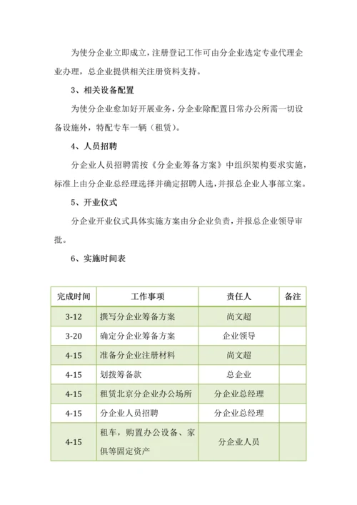 分公司筹建专项方案.docx