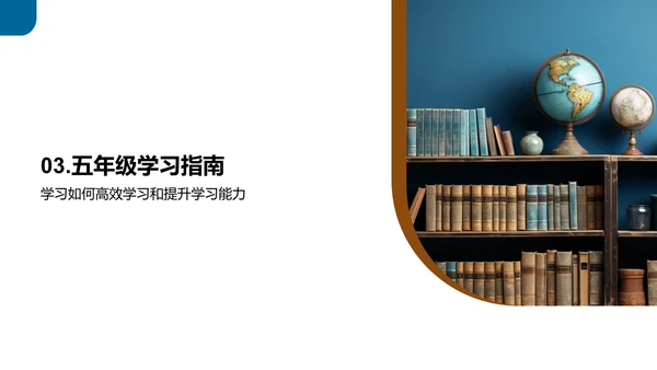 五年级学习全攻略