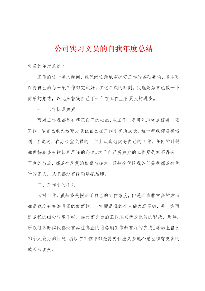 公司实习文员的自我年度总结