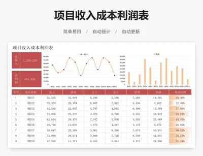 项目收入成本利润表