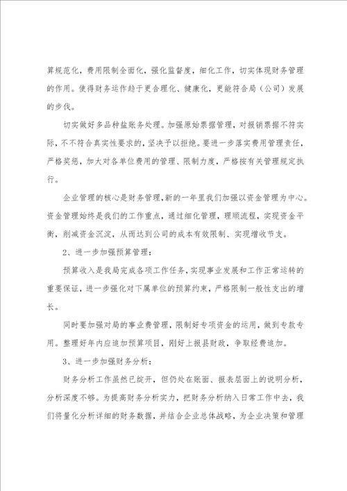 年终财务总结 年终总结