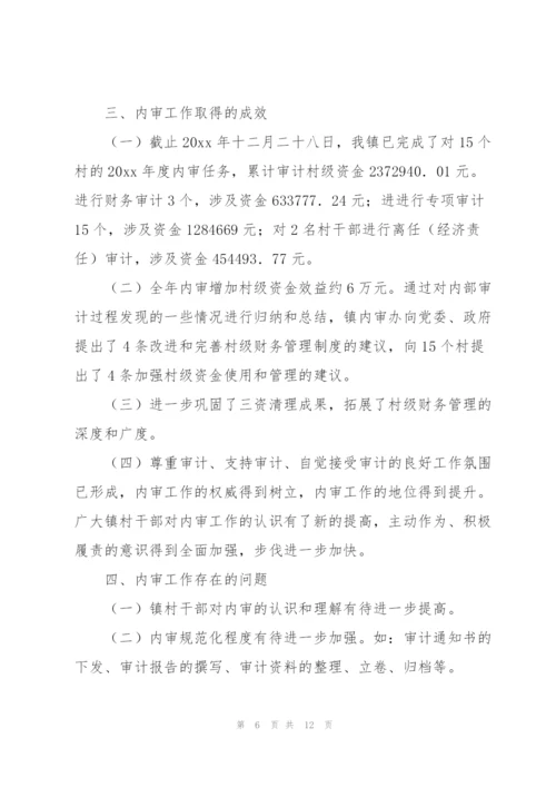 新成立公司内部审计工作总结.docx