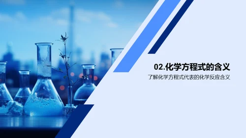掌握化学方程式