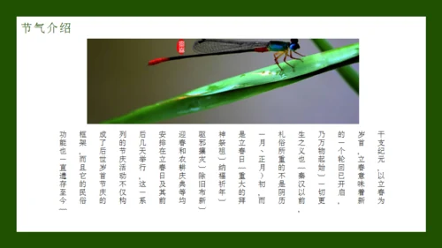 立春节气通用PPT模板