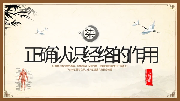 棕色复古中医经络养生PPT模板宣传PPT动态PPT