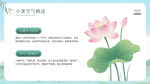 绿色清新风小暑科普讲座PPT模板