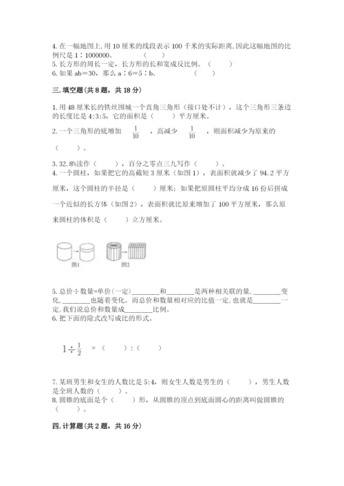 韶关市小升初数学测试卷完美版.docx